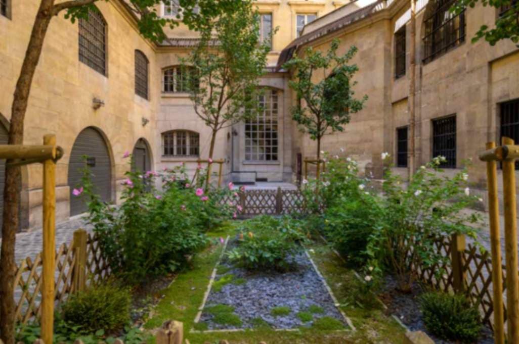 Courtyard of the Women (Cour des Femmes)