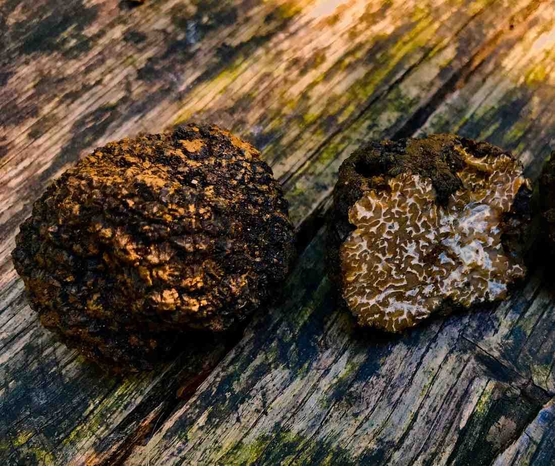 Freshly harvested Burgundy black truffles paired with gourmet culinary ingredients.