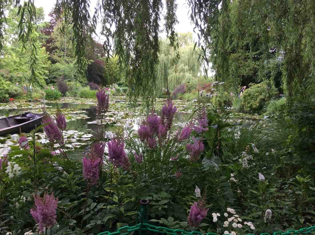 Lush water lily pond with reflections of weeping willows in Monet's Giverny gardens.