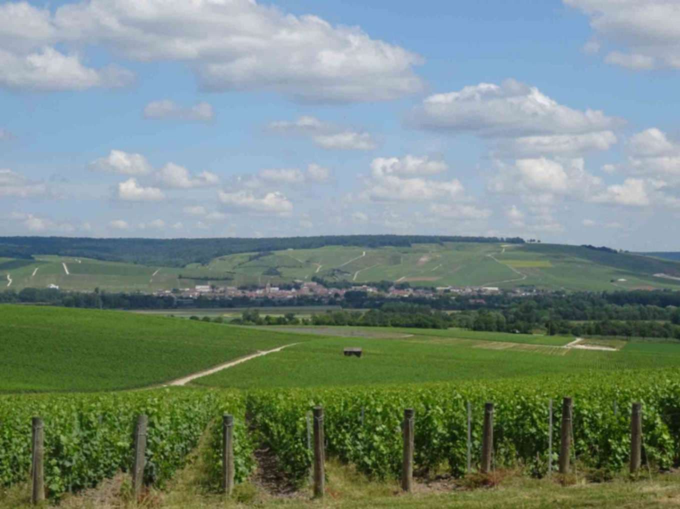 Cosa distingue lo Champagne dagli altri spumanti?