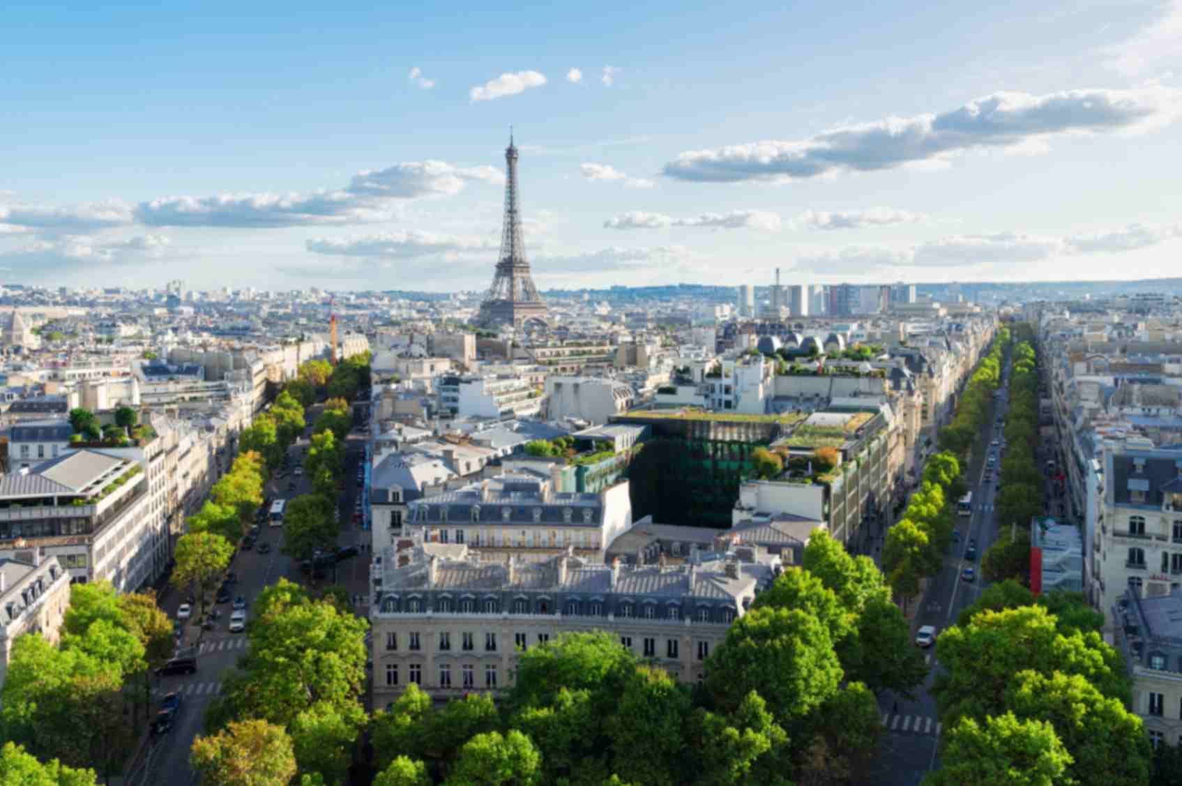 Panoramic View of the Eiffel Tower and Paris