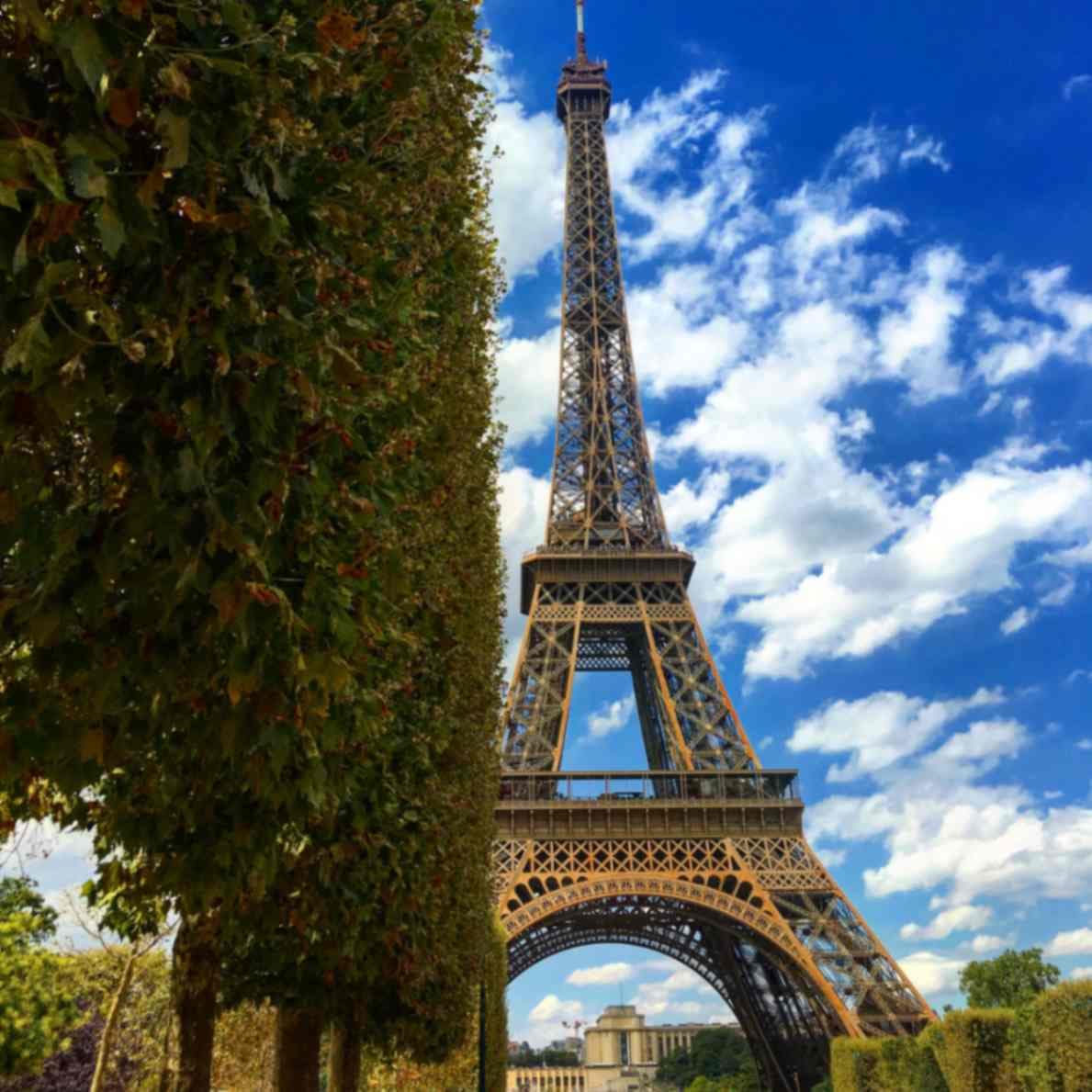 Paris Landscape